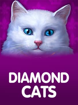 Diamond Cats