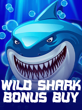 Wild Shark